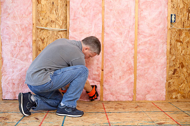 Best DIY Insulation Kits and Guidance in Port Orchard, WA