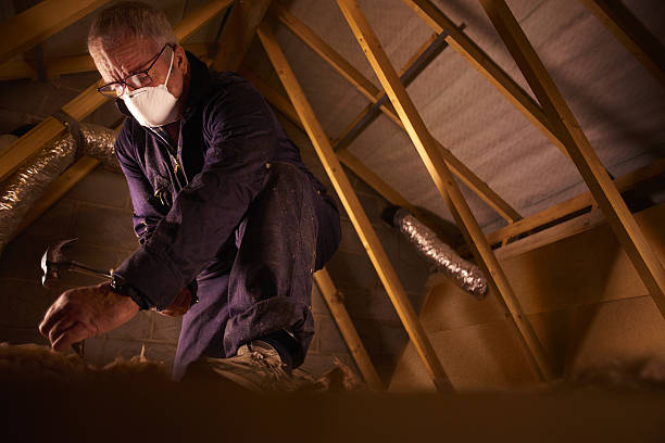Types of Insulation We Offer in Port Orchard, WA